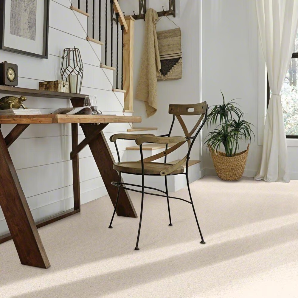38387-anderson-tuftex-pawstruck-carpet-in-barely-beige-1.jpg