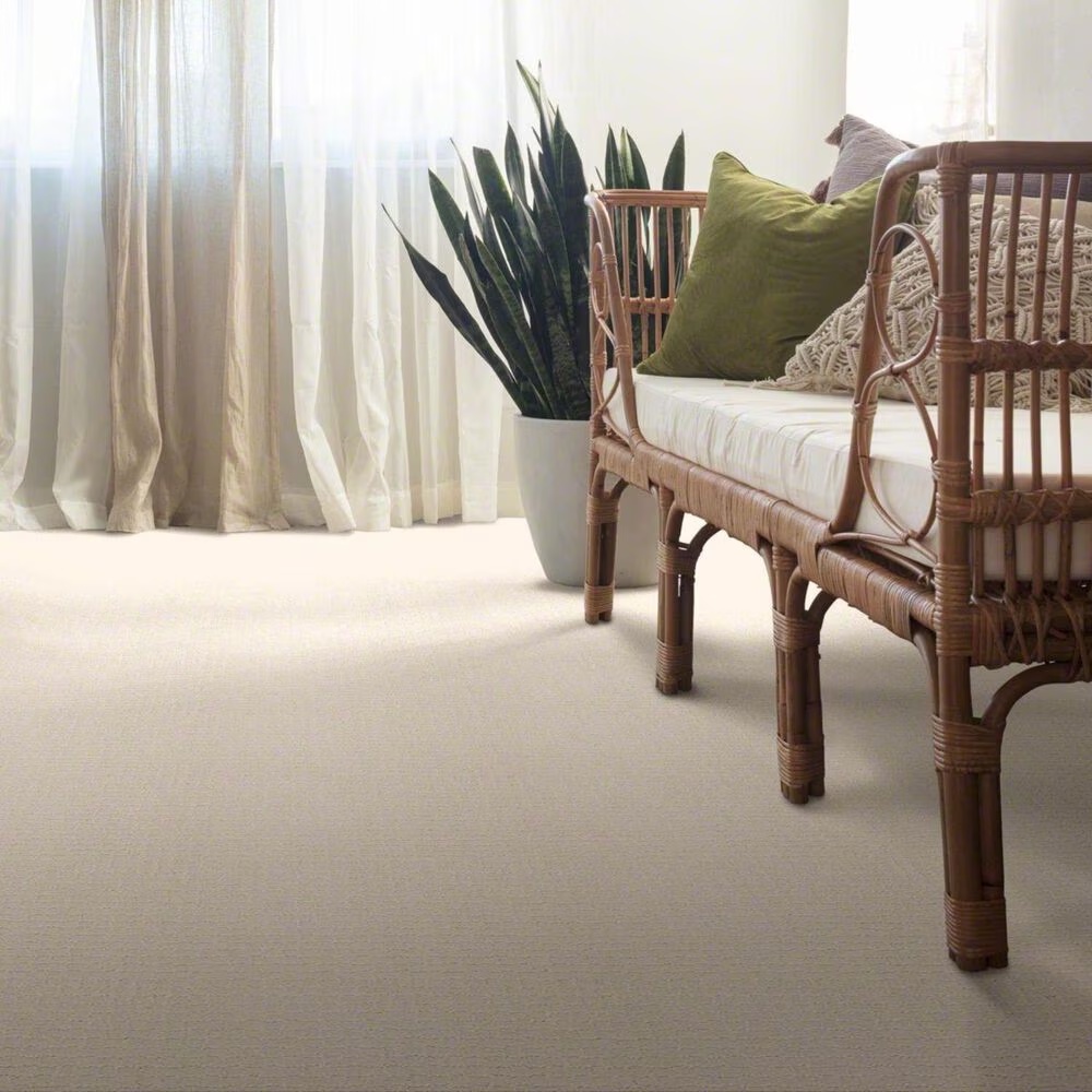 38387-anderson-tuftex-pawstruck-carpet-in-barely-beige-1.jpg
