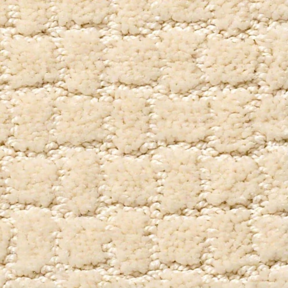 Anderson Tuftex Pawstruck Carpet in Antiquity