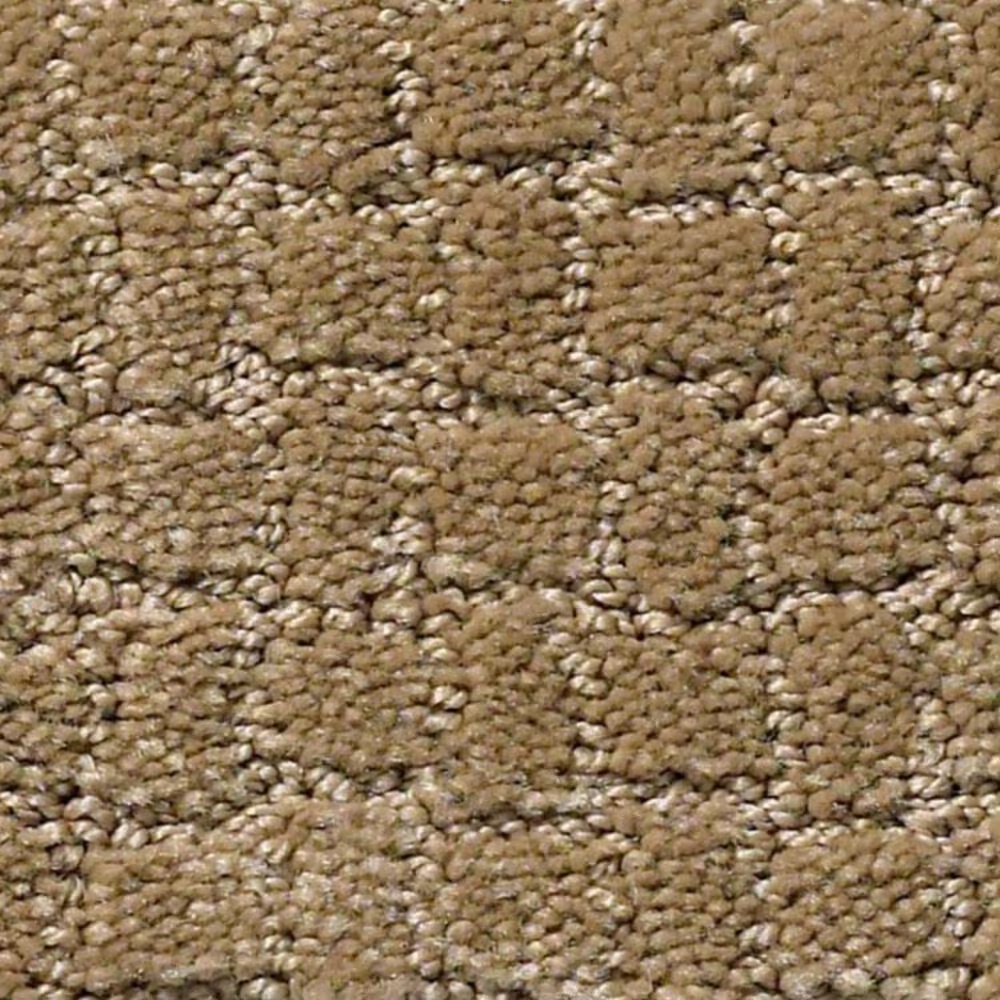 Anderson Tuftex Pawstruck Carpet in Peanut Shell