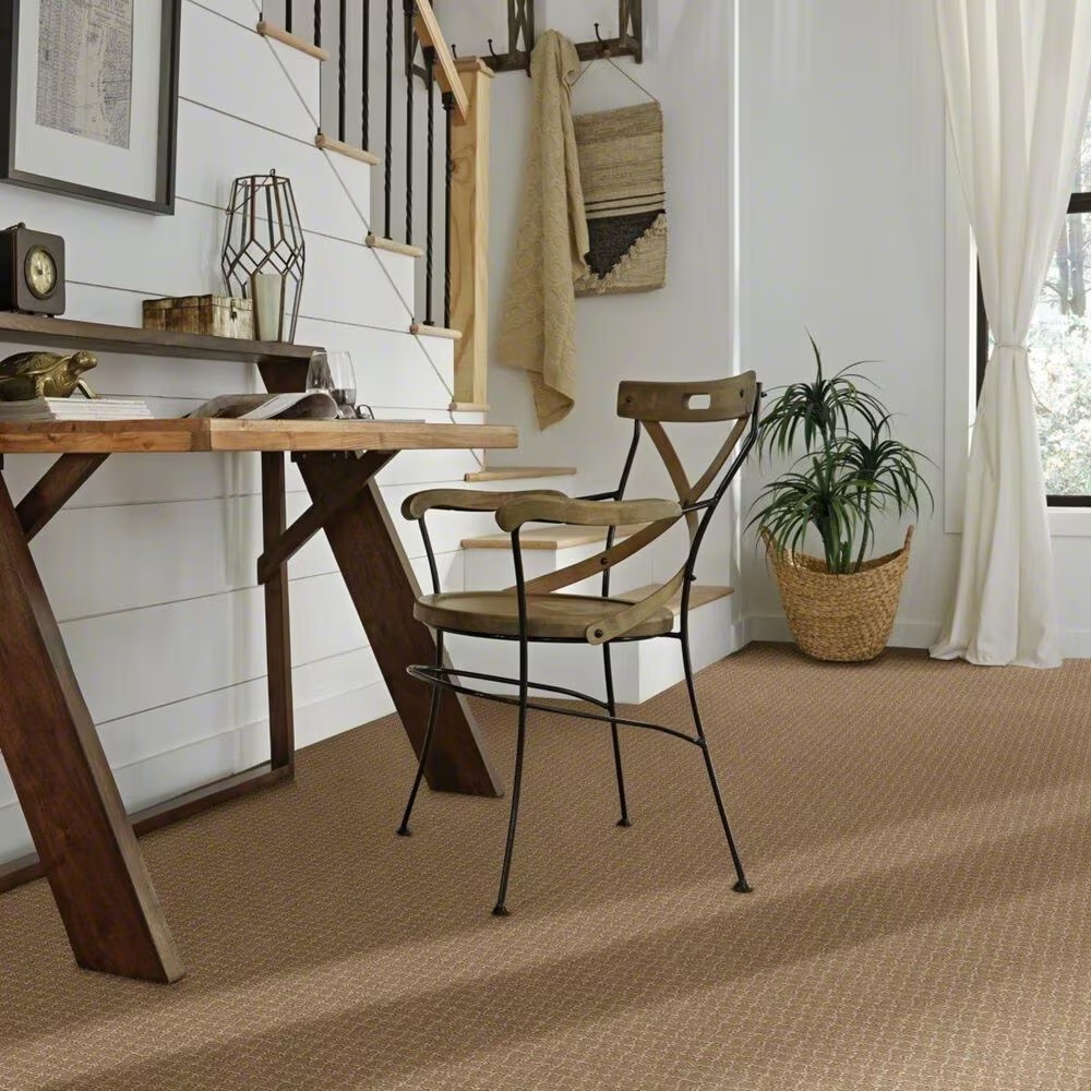 38437-anderson-tuftex-pawstruck-carpet-in-peanut-shell-1.jpg