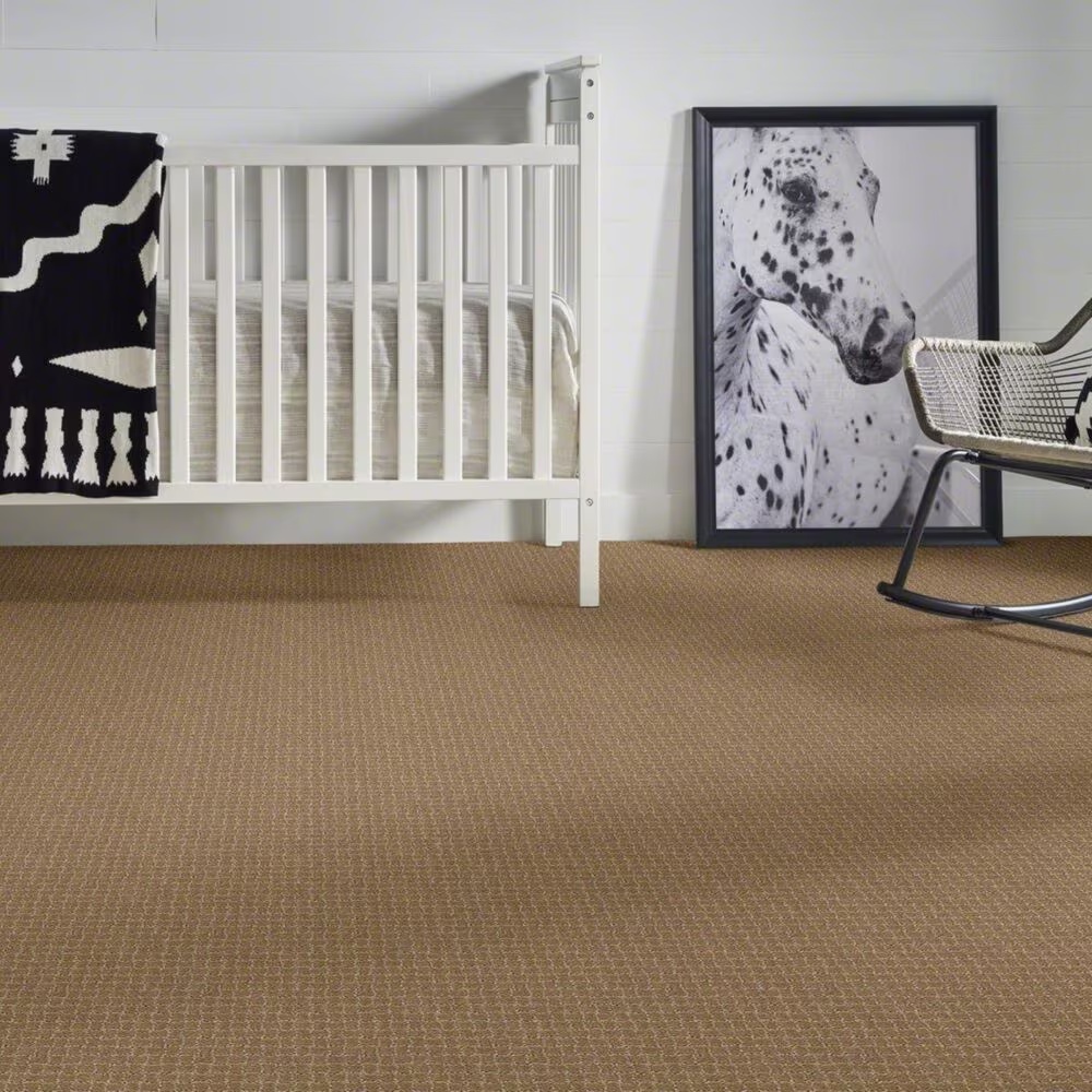 38437-anderson-tuftex-pawstruck-carpet-in-peanut-shell-1.jpg