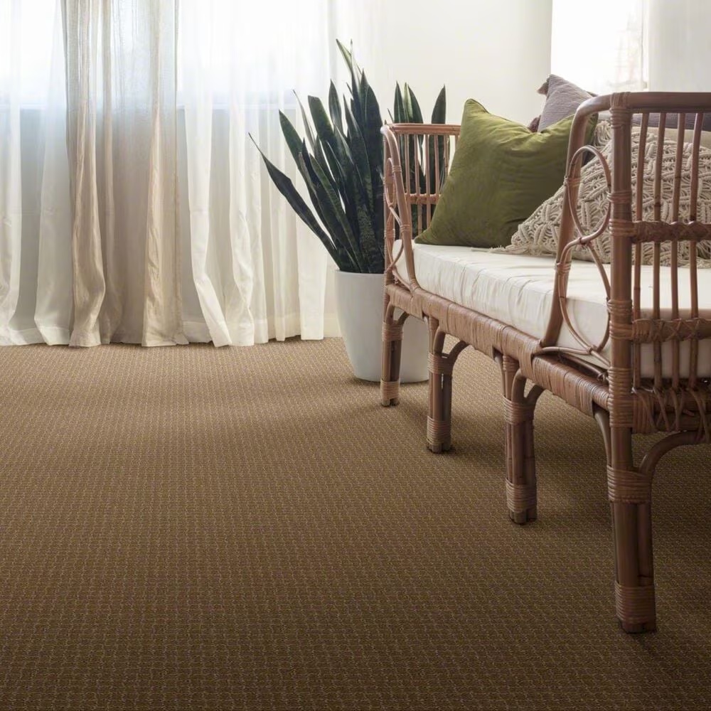 38437-anderson-tuftex-pawstruck-carpet-in-peanut-shell-1.jpg
