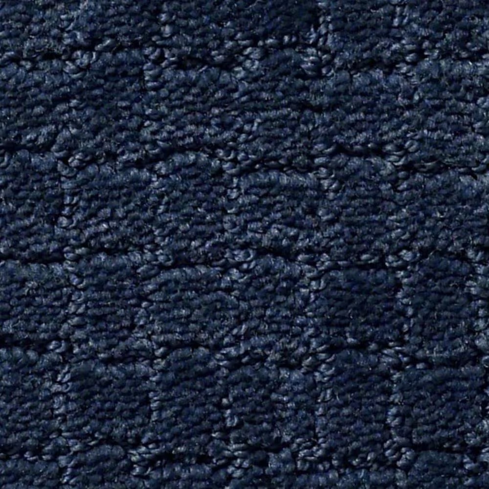 Anderson Tuftex Pawstruck Carpet in Downpour