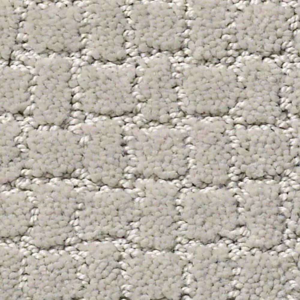 Anderson Tuftex Pawstruck Carpet in Calm
