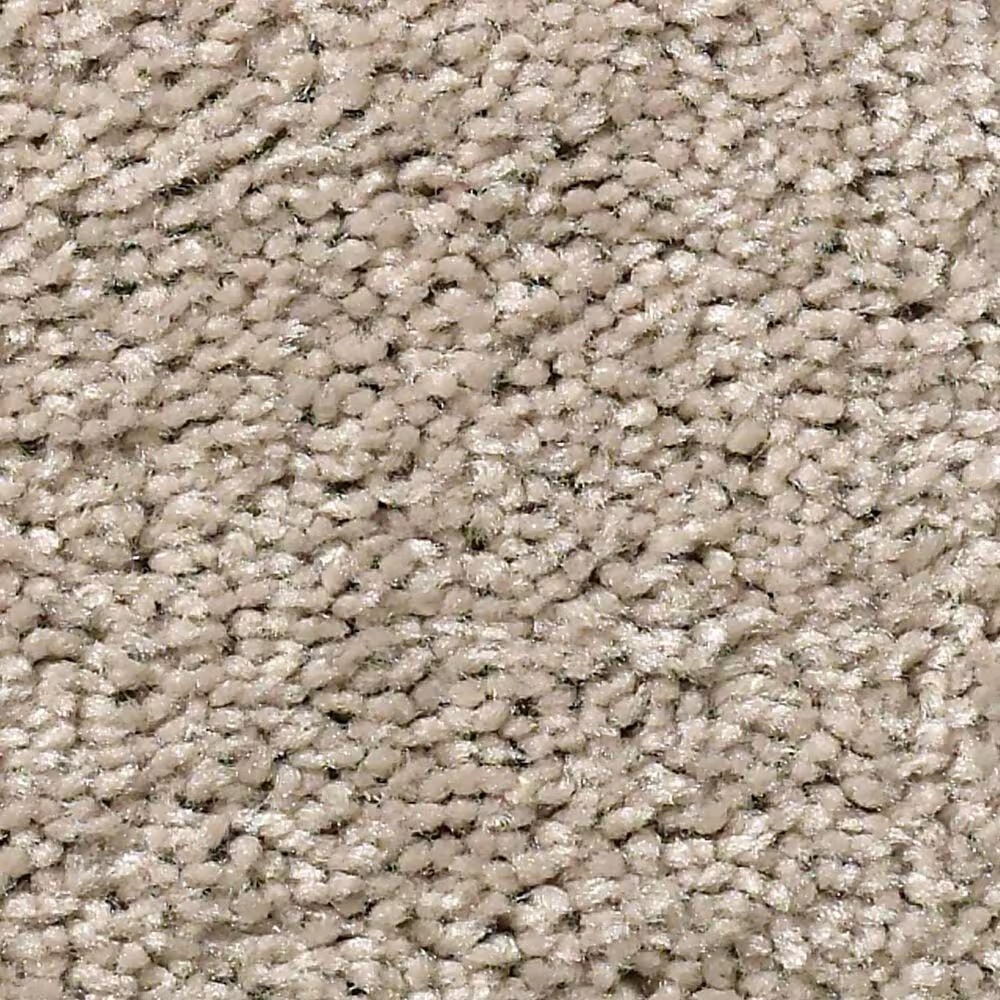 Shaw Cabana Bay Solid Carpet in Shifting Sand