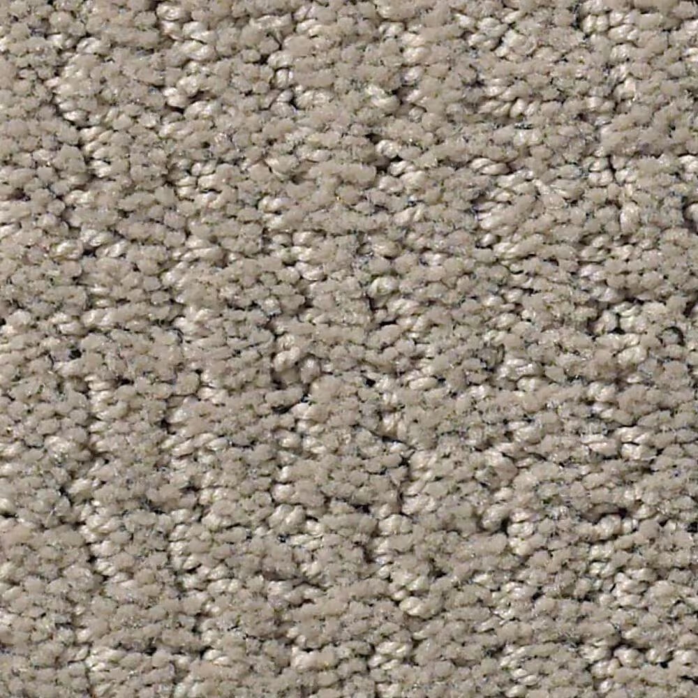 Shaw Warm Memories Carpet in Back Patio