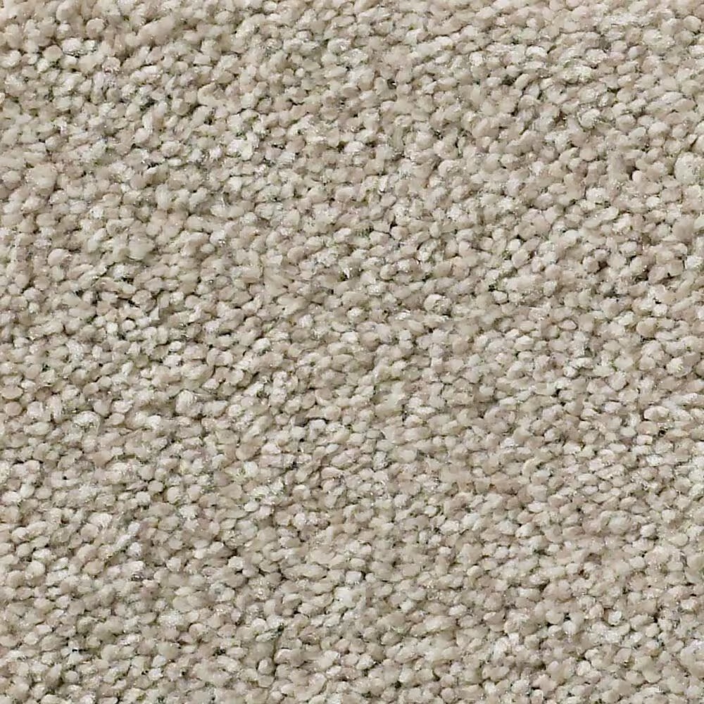 Shaw Simply the Best Momentum II Carpet in Driftwood