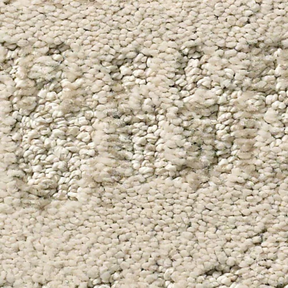 Anderson Tuftex Caress Resort Chic Carpet in Clay