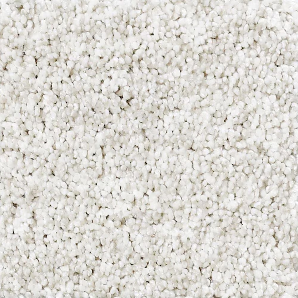 Shaw Foundations Take The Floor Tonal II Carpet in Orion