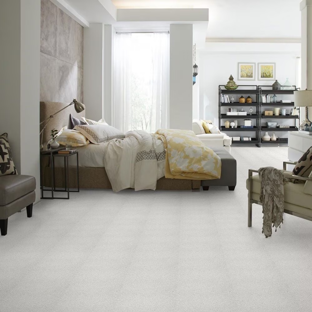 38546-shaw-foundations-take-the-floor-tonal-ii-carpet-in-orion-1.jpg