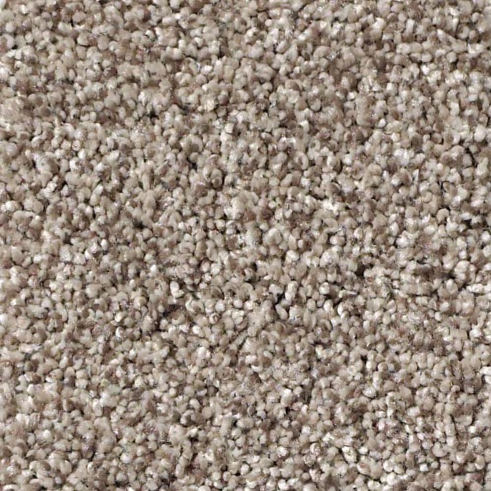 Shaw Foundations Take The Floor Tonal II Carpet in Triumph