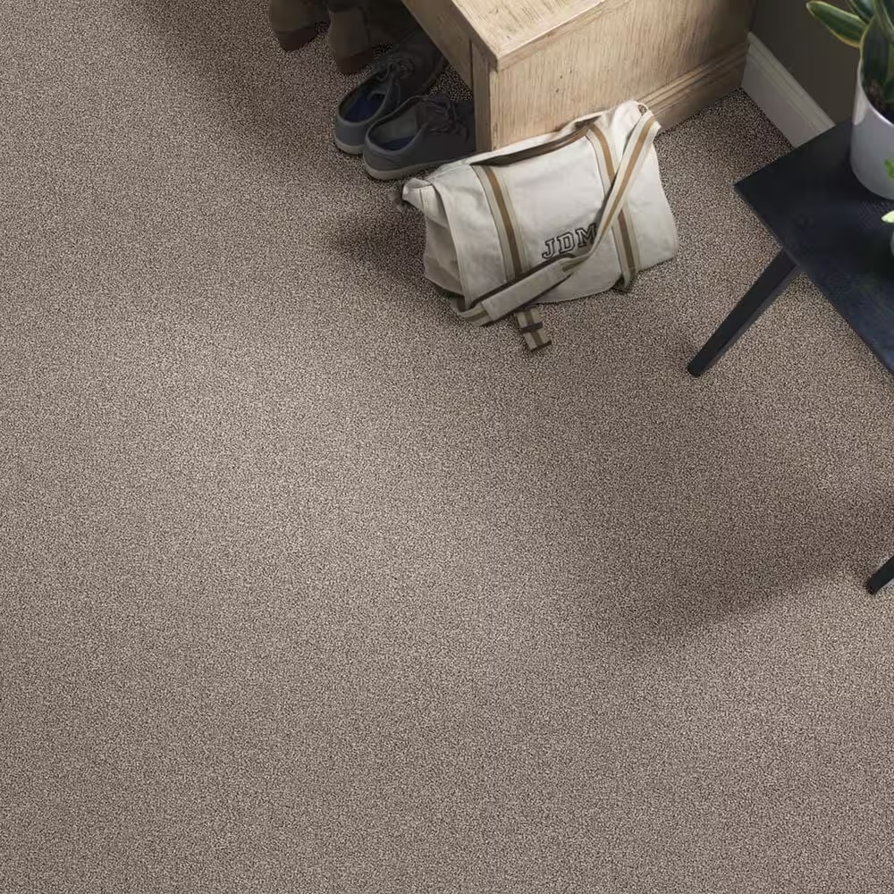 38547-shaw-foundations-take-the-floor-tonal-ii-carpet-in-triumph-1.jpg