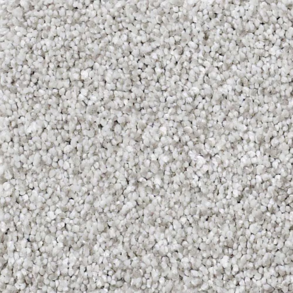 Shaw Foundations Take The Floor Tonal II Carpet in Mystic
