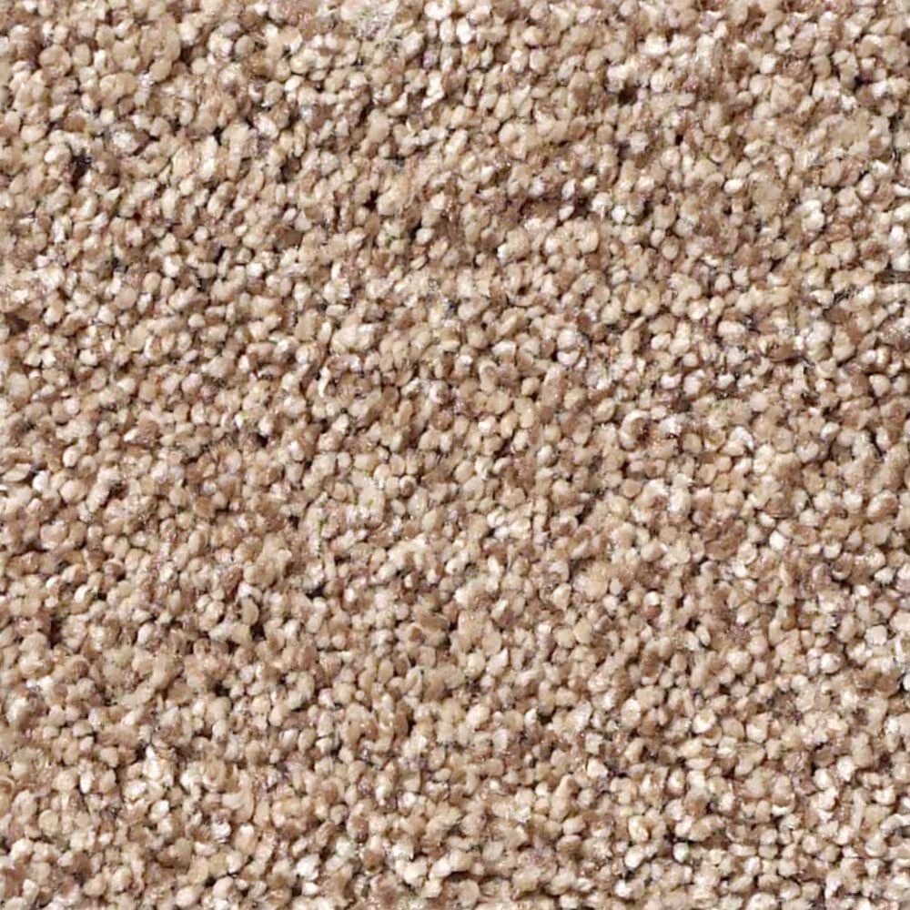 Shaw Foundations Take The Floor Tonal II Carpet in Sienna