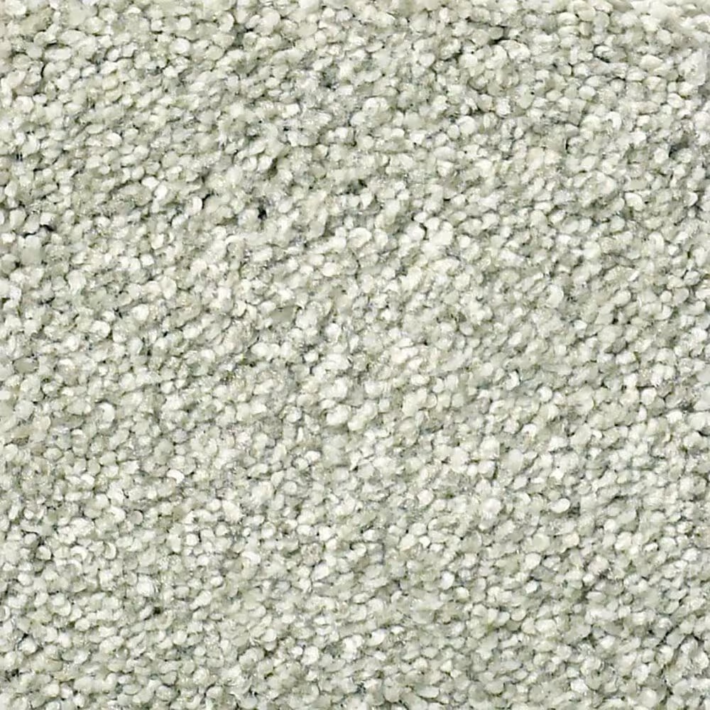 Shaw Find Your Comfort TT Blue Carpet in Willow Tree