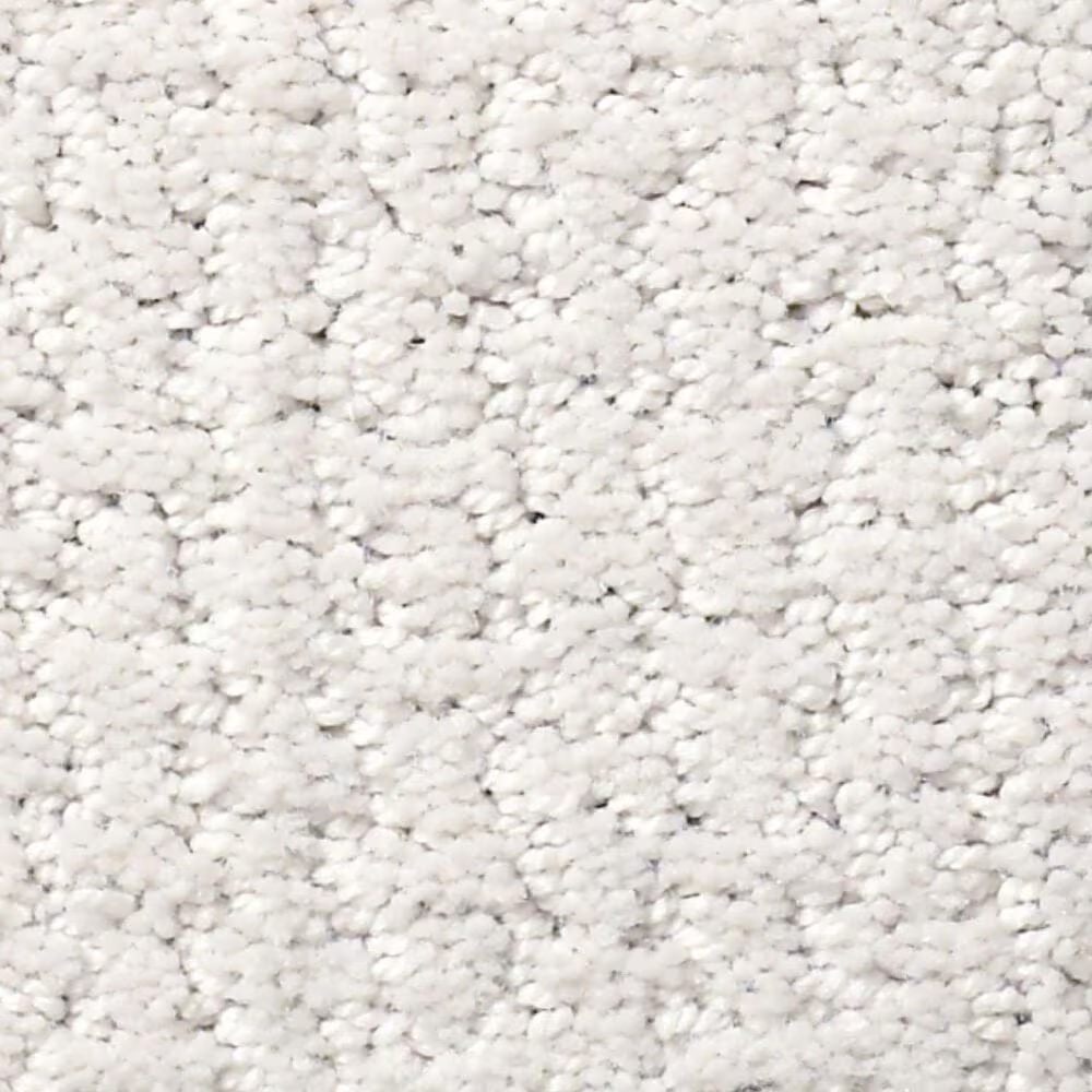 Shaw Warm Memories Carpet in Coming Home