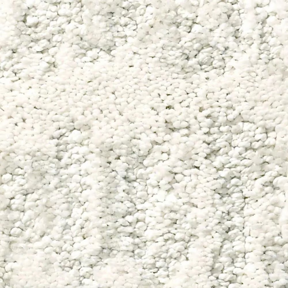Anderson Tuftex Resort Chic Carpet in Calm
