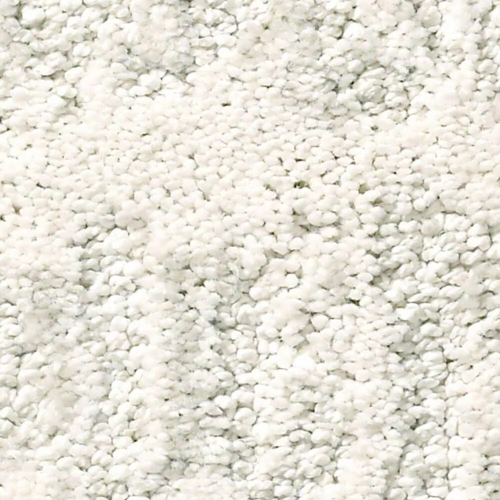 38561-anderson-tuftex-resort-chic-carpet-in-calm-1.jpg