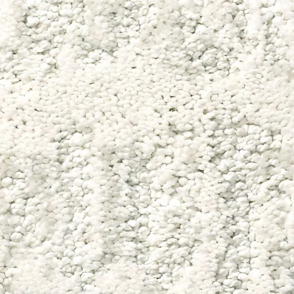 38561-anderson-tuftex-resort-chic-carpet-in-calm-1.jpg
