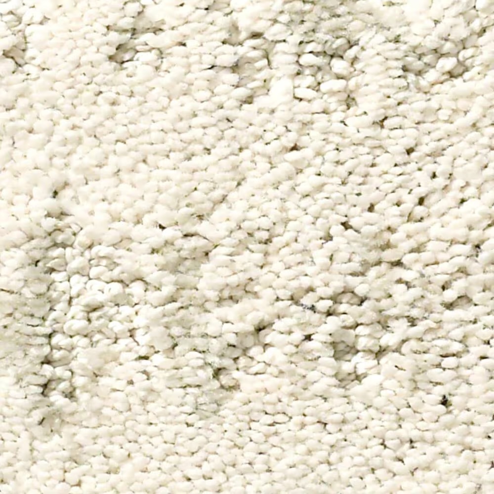 Anderson Tuftex Caress Resort Chic Carpet in Awaken