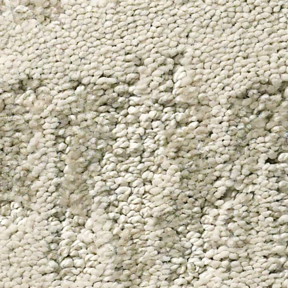 Anderson Tuftex Caress Resort Chic Carpet in Soft Spoken