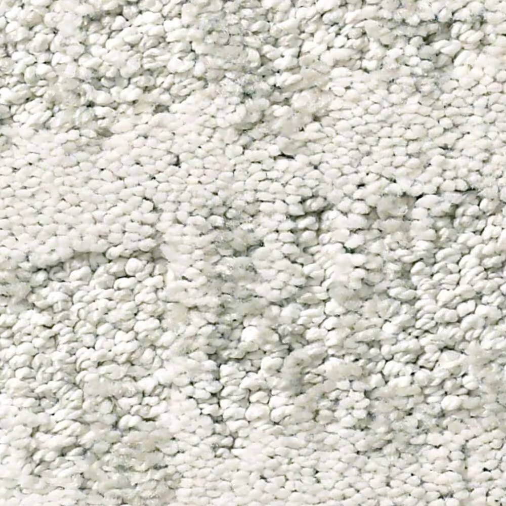 Anderson Tuftex Caress Resort Chic Carpet in Glacier Ice