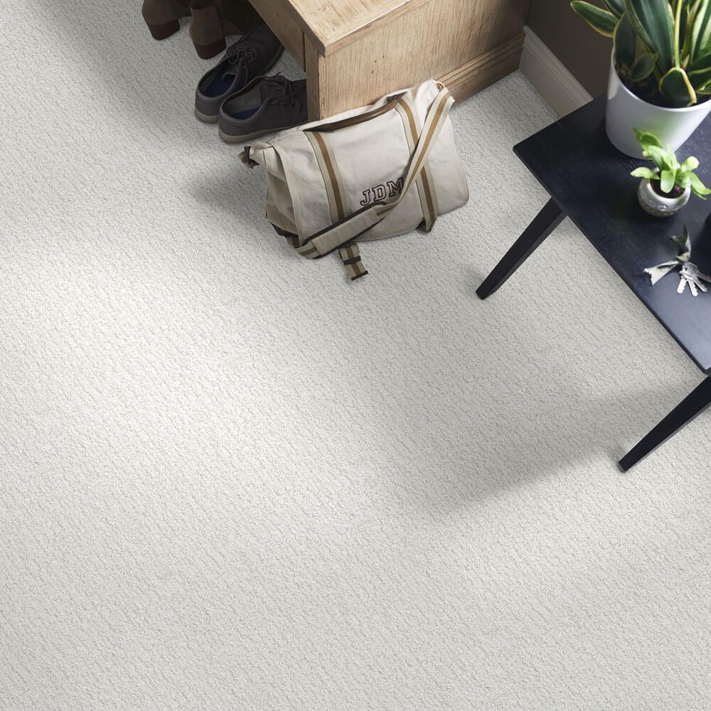 38565-shaw-bellera-emergence-carpet-in-super-fine-1.jpg