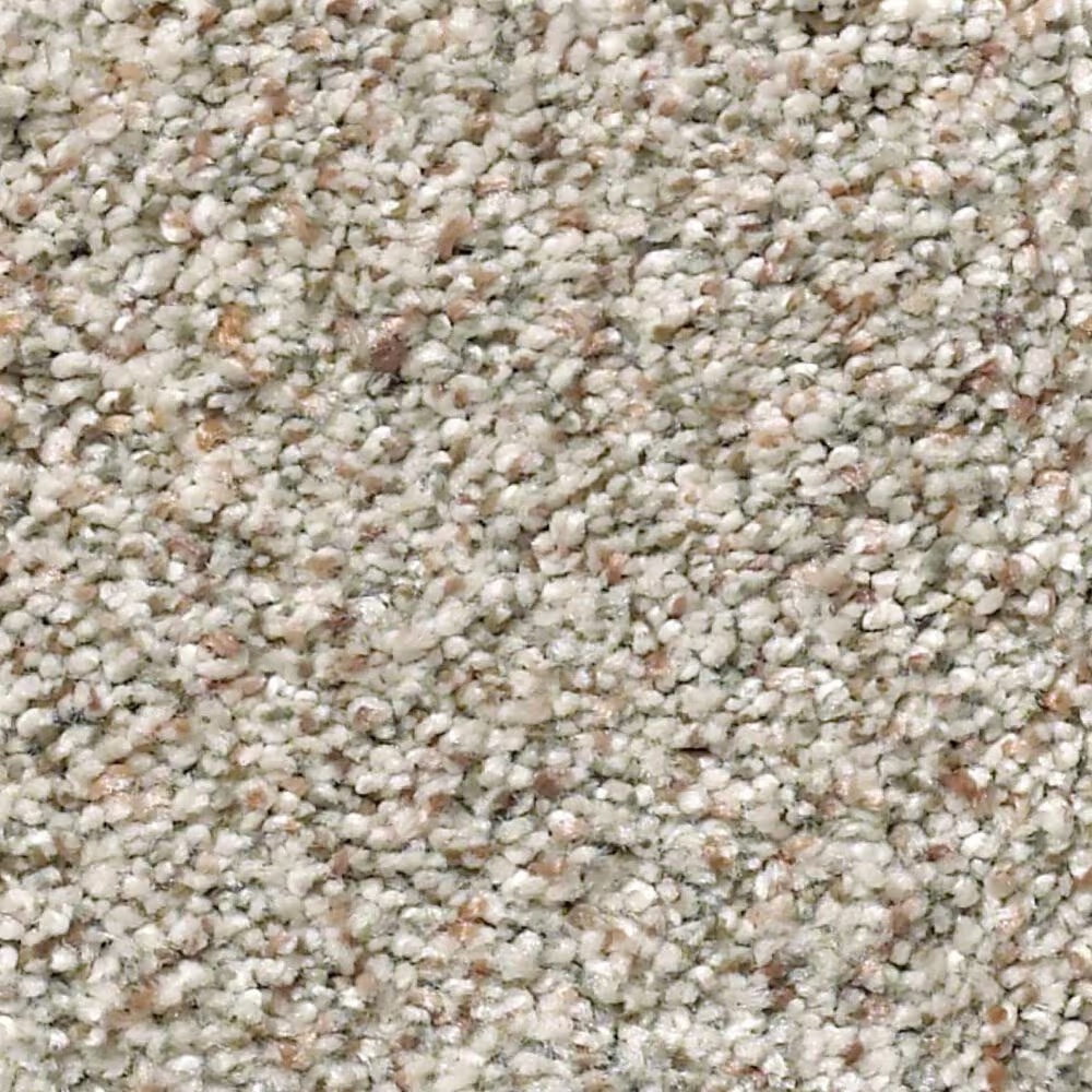 Shaw Sfa Find Your Comfort TA II Carpet in Backstage Pass