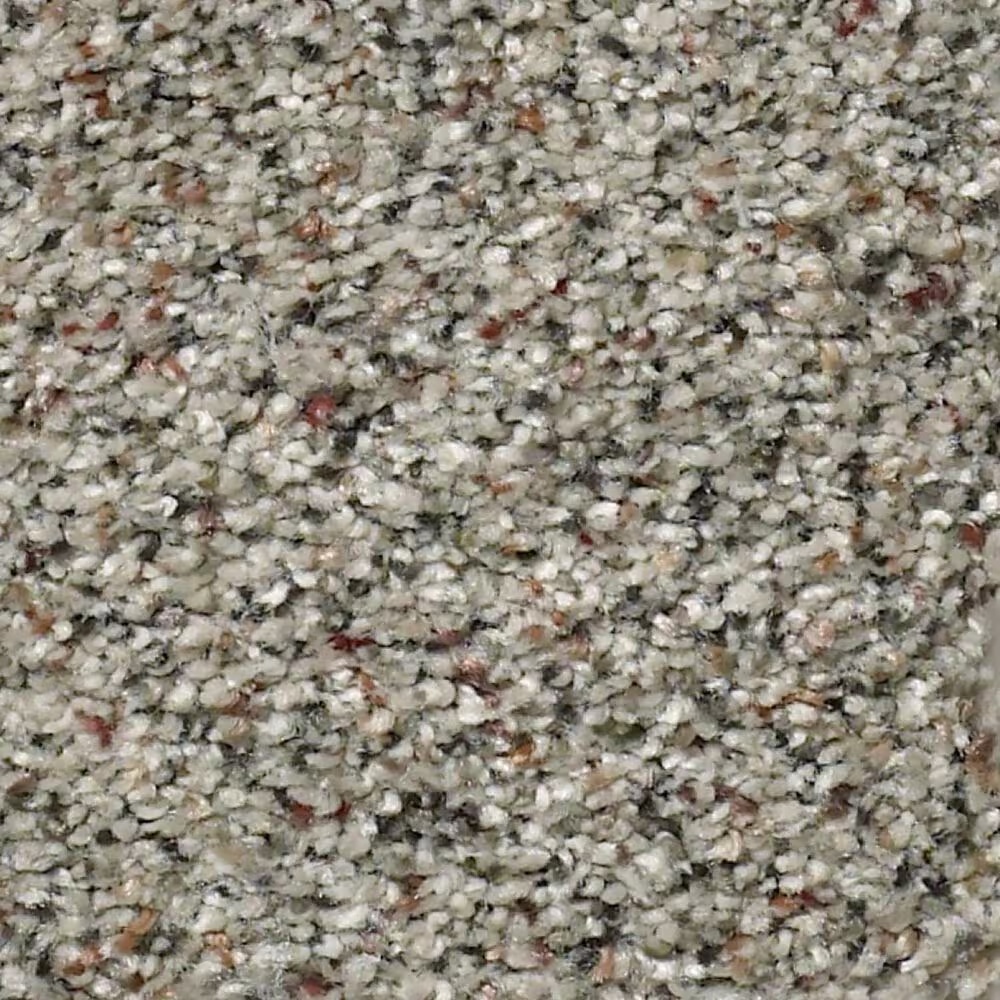 Shaw Find Your Comfort TA II Carpet in All Aboard
