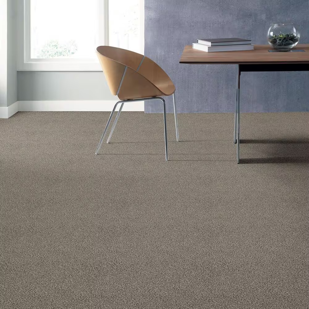 38571-shaw-find-your-comfort-ta-ii-carpet-in-all-aboard-1.jpg