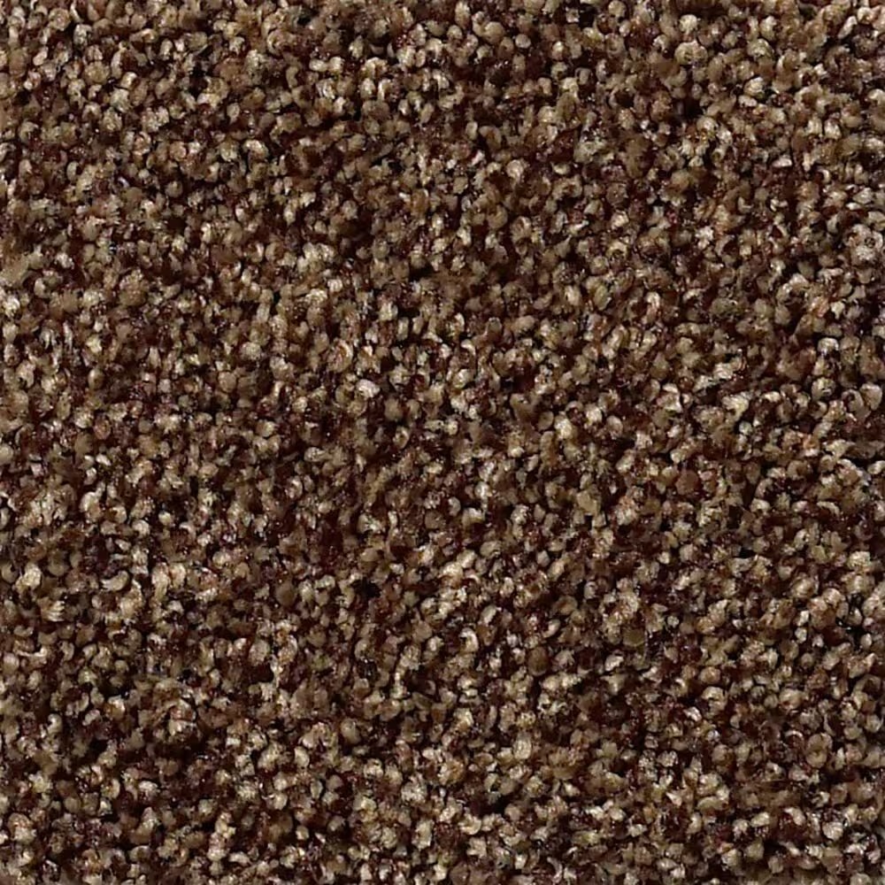 Shaw Find Your Comfort TT Blue Carpet in Chocolate Treat