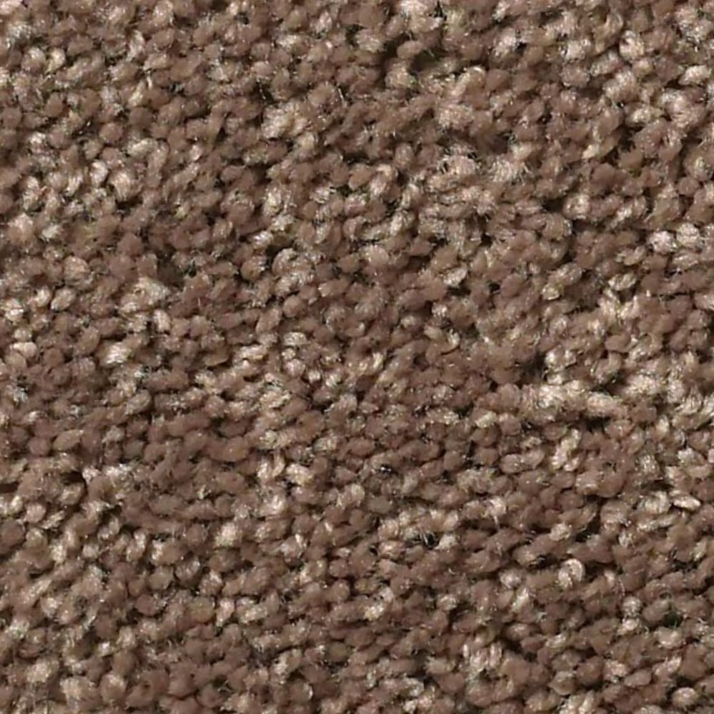 Shaw Cabana Bay Solid Carpet in Cattail