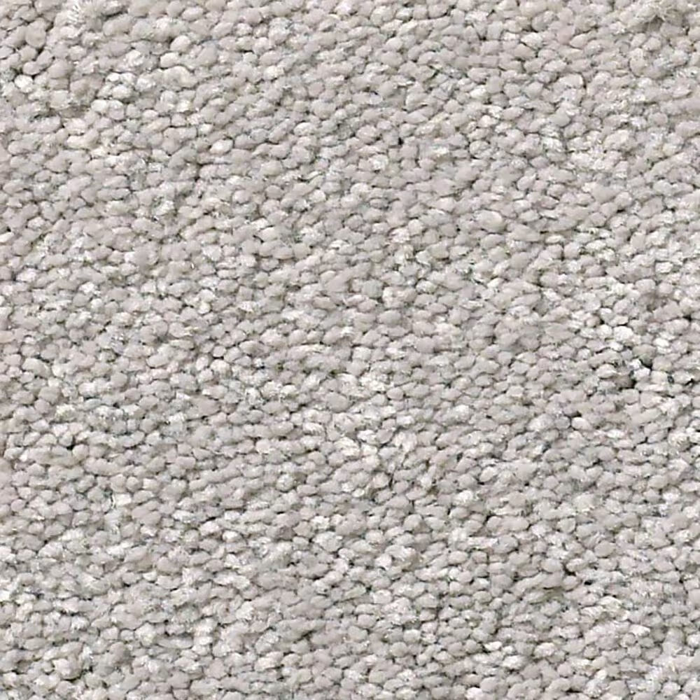 Shaw Simply the Best Momentum II Carpet in Subtle Touch