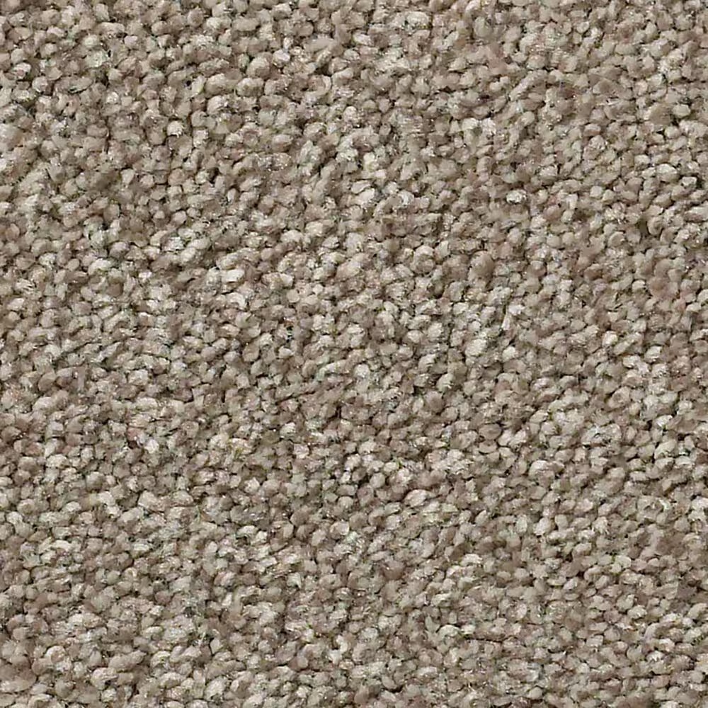 Shaw Simply the Best Momentum II Carpet in Hickory Manor