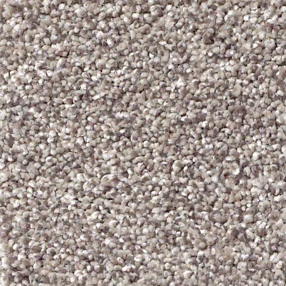 Shaw Foundations Take The Floor Tonal II Carpet in Tundra