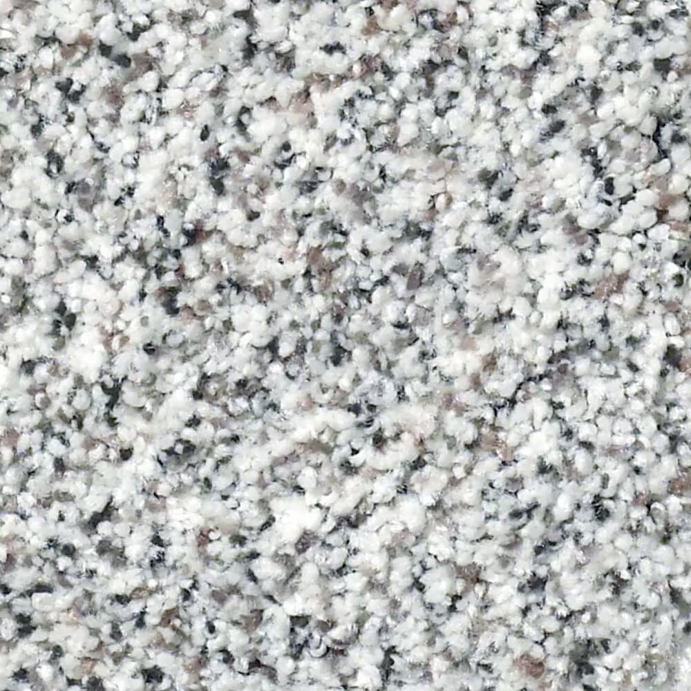 Shaw Find Your Comfort TA II Carpet in True Reality