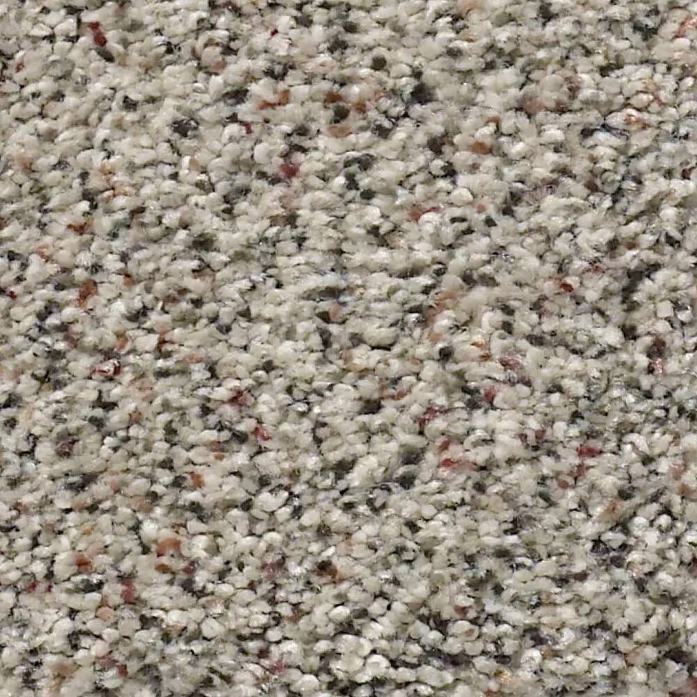 Shaw Find Your Comfort TA II Carpet in Bocce Ball Game