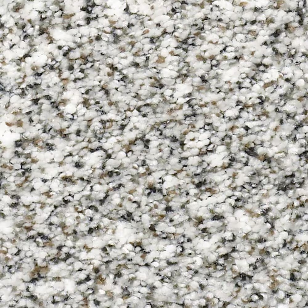 Shaw Find Your Comfort TA II Carpet in I'm Freezing