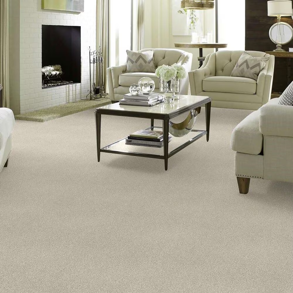 38596-shaw-find-your-comfort-tt-blue-carpet-in-homemade-ice-cream-1.jpg