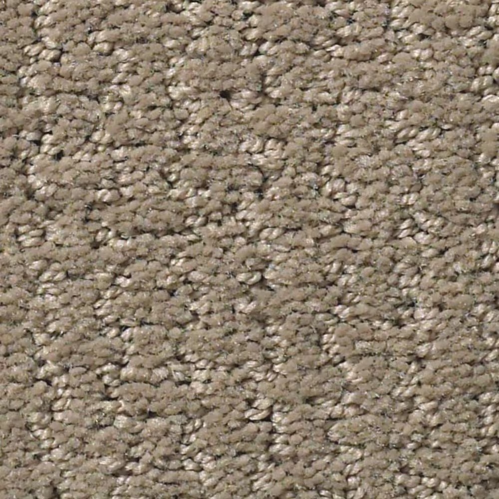 Shaw Warm Memories Carpet in Dockside View