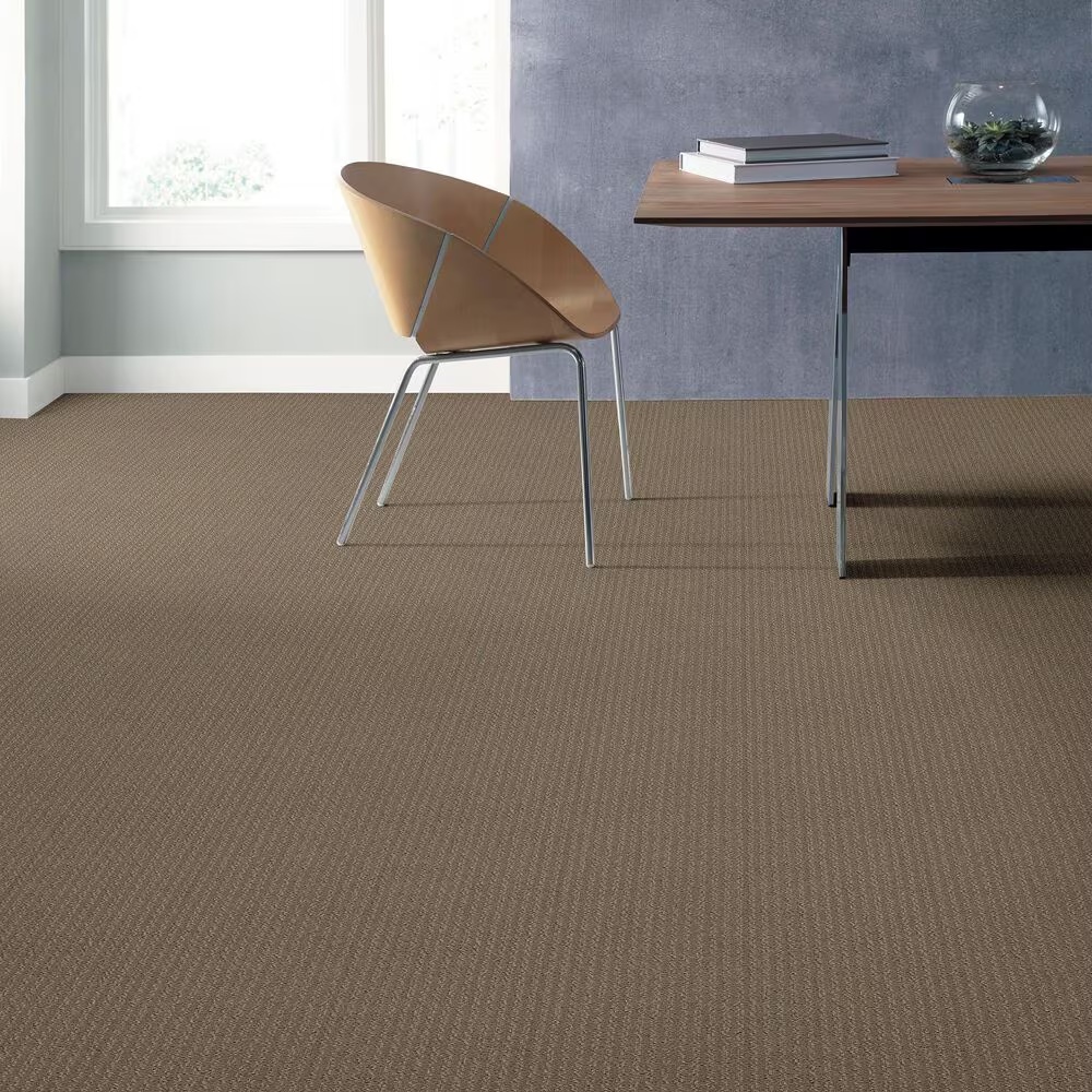 38602-shaw-warm-memories-carpet-in-dockside-view-1.jpg