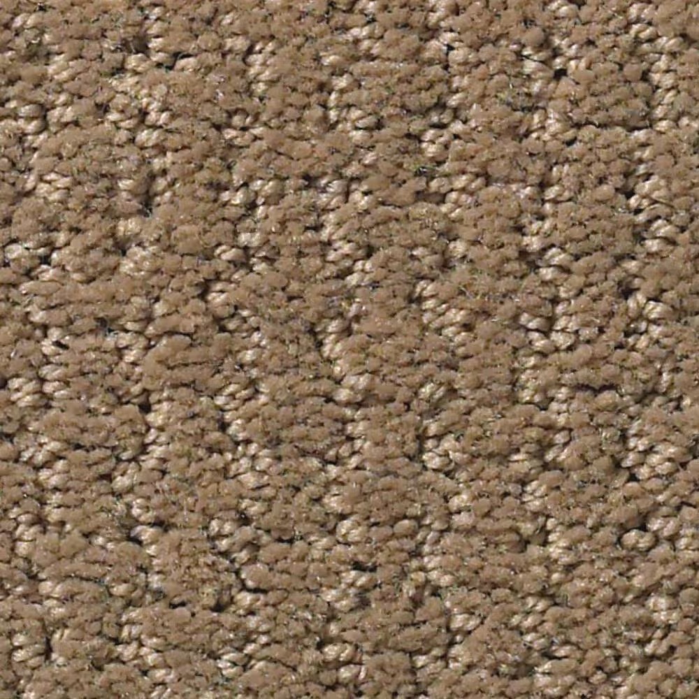Shaw Warm Memories Carpet in Camping Trip