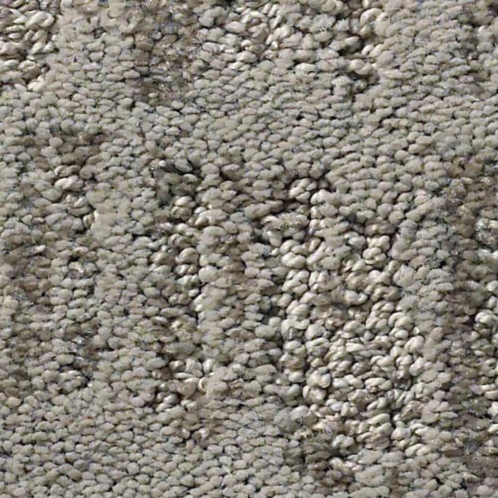 Anderson Tuftex Caress Resort Chic Carpet in Shadow
