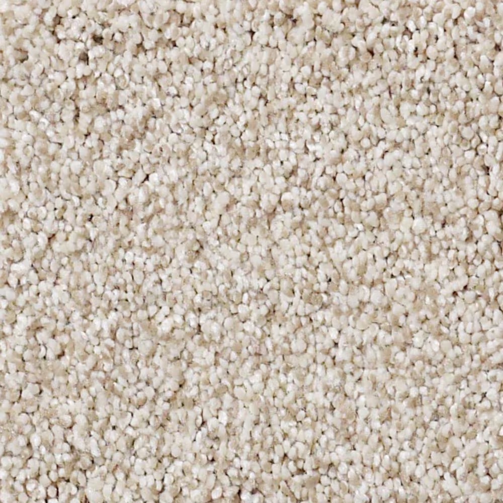 Shaw Foundations Take The Floor Tonal II Carpet in Fantasy