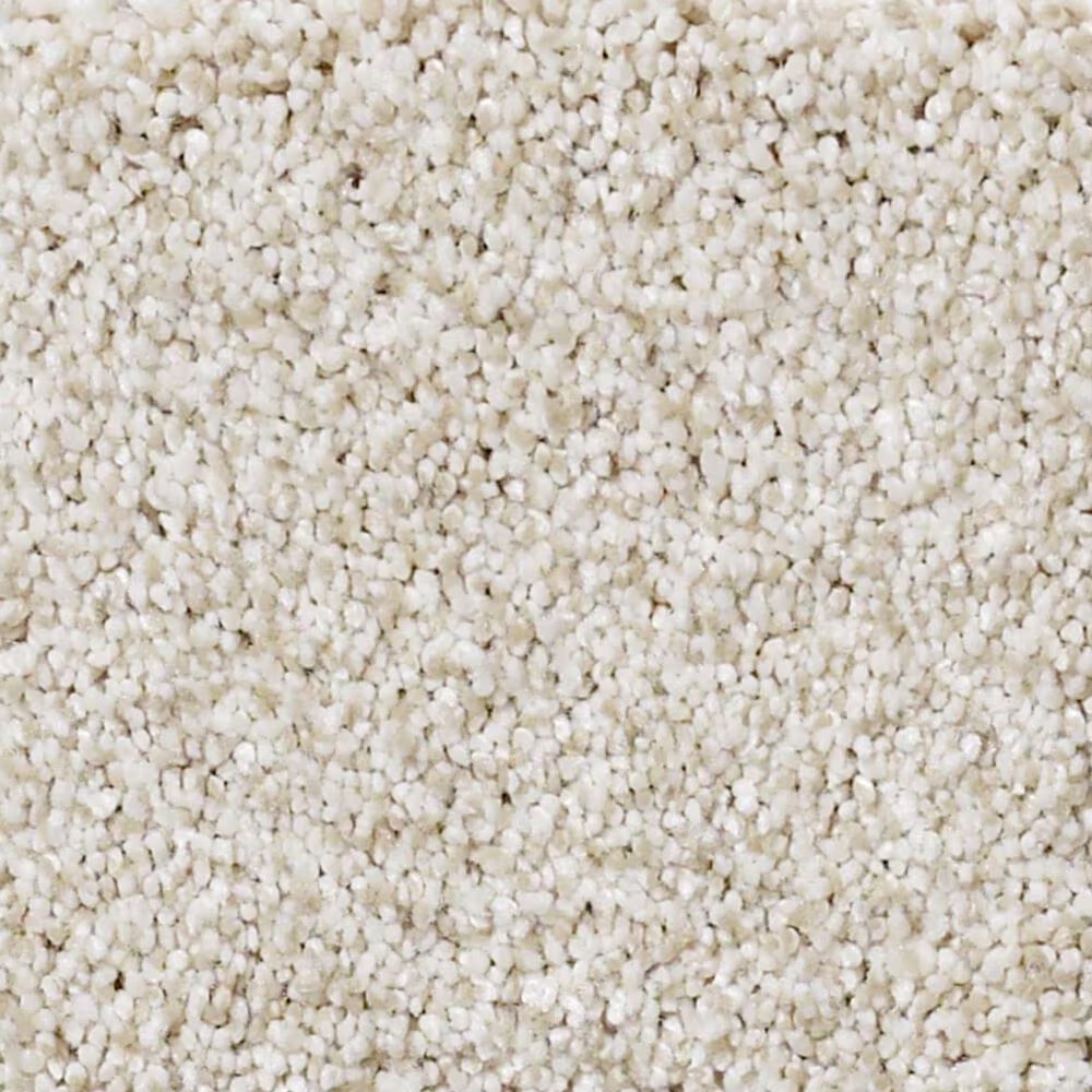 Shaw Foundations Take The Floor Tonal II Carpet in Cashmere
