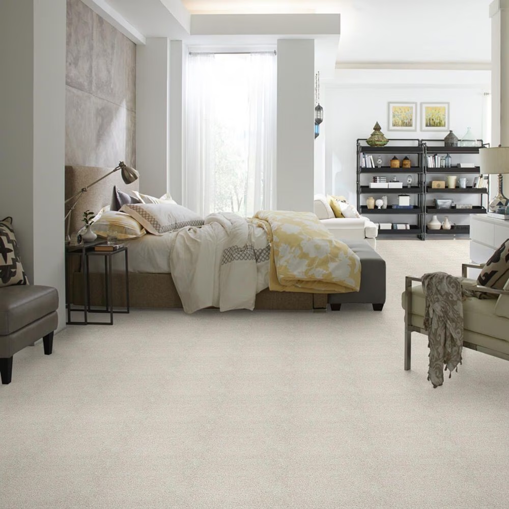 38610-shaw-foundations-take-the-floor-tonal-ii-carpet-in-cashmere-1.jpg