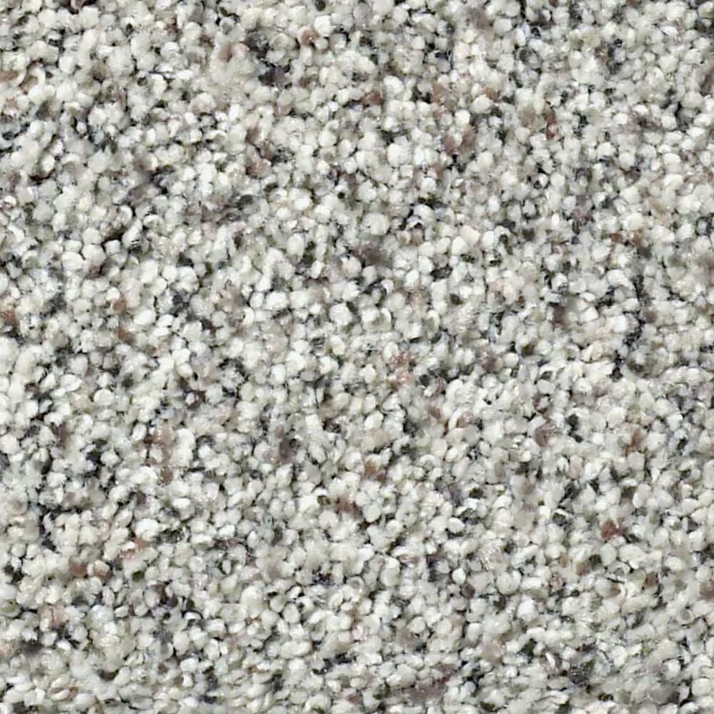Shaw Find Your Comfort TA II Carpet in Cocktail Hour