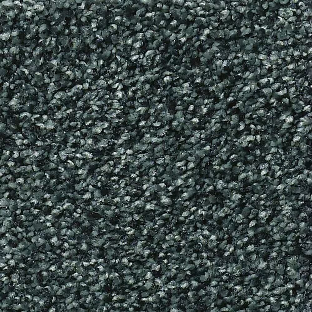 Shaw Find Your Comfort TT Blue Carpet in Hanging Vine