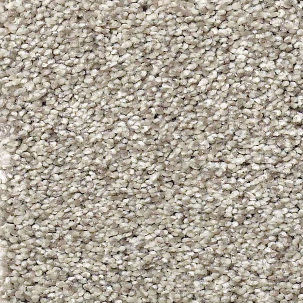 Shaw Find Your Comfort TT Blue Carpet in Back Patio